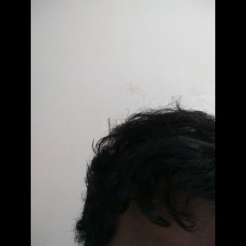 RexG