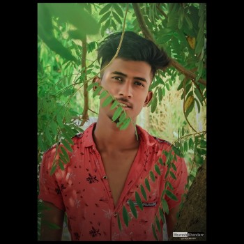 Bhaveshdilip