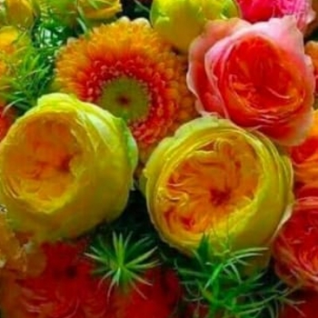 Keerthi K