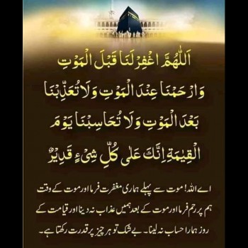 faizan3355