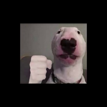 hornybiperson