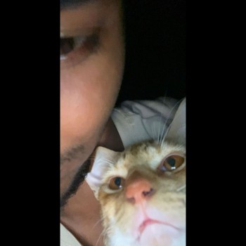 Hhjwjiw