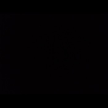 Saaamm_1122