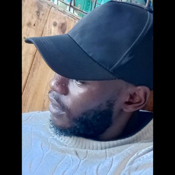Daudi